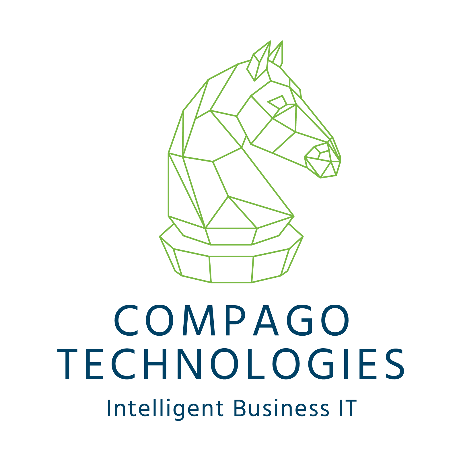 Business IT Solutions Tasmania
