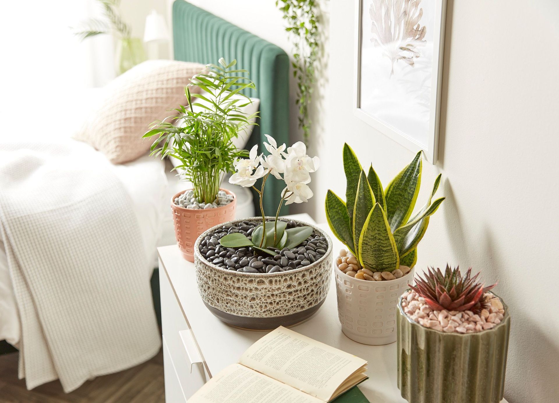 Bedroom with a green headboard, plants on a bedside table, and an open book.