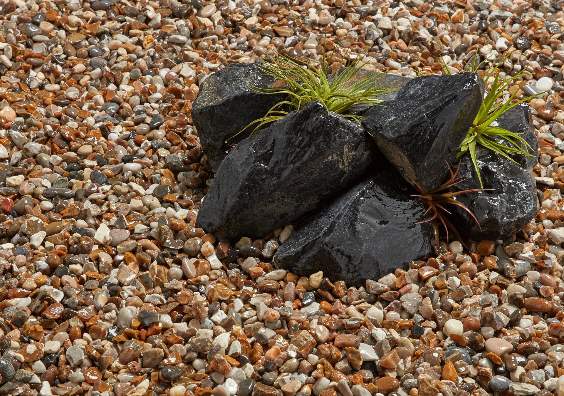 Black rocks with green plants on a pebble beach.