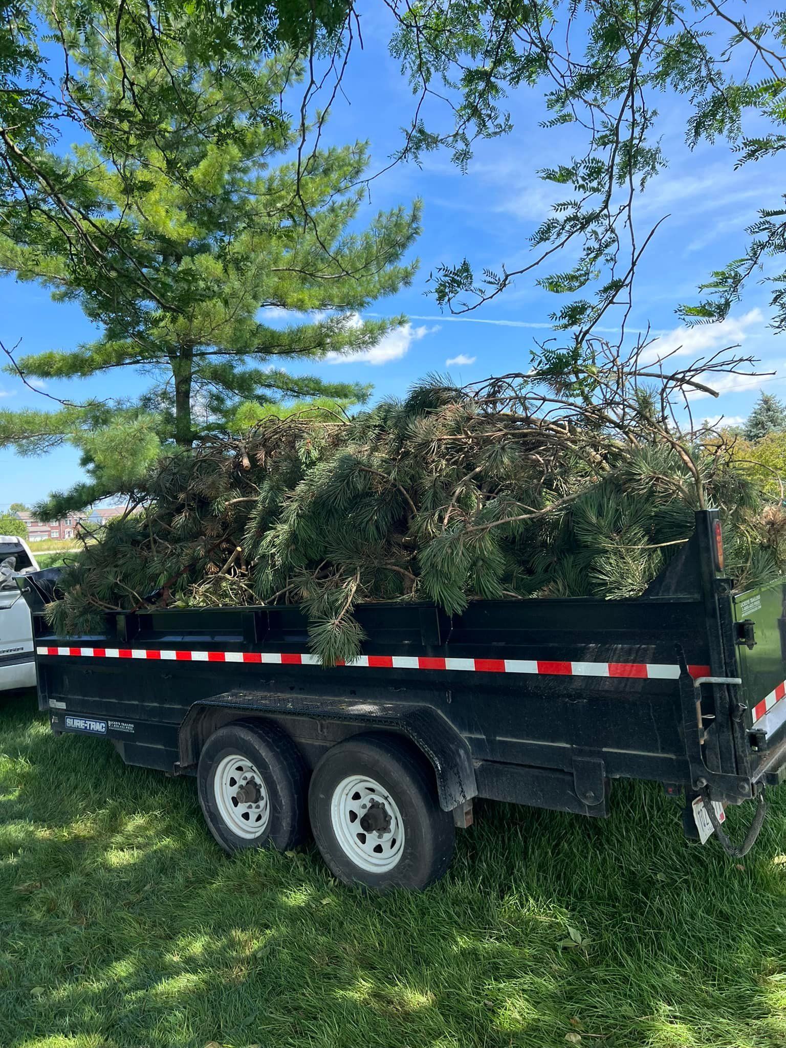 A dump trailer filled with branches is parked in the grass.