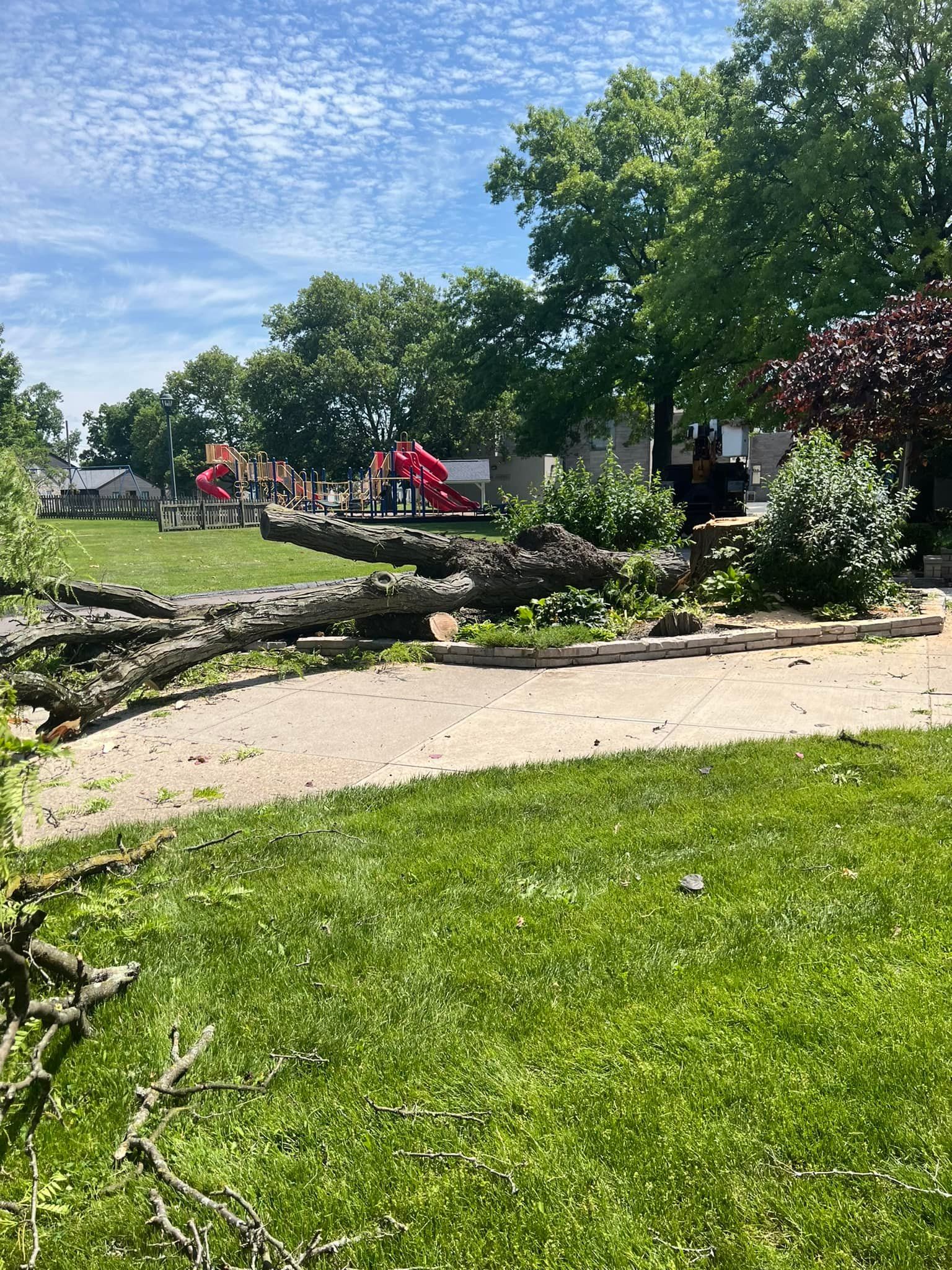 A large tree branch is laying on the ground in a park.