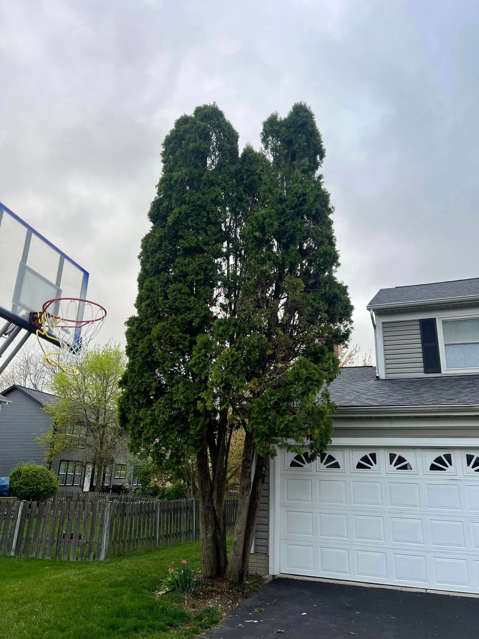 There is a basketball hoop in the backyard of a house.