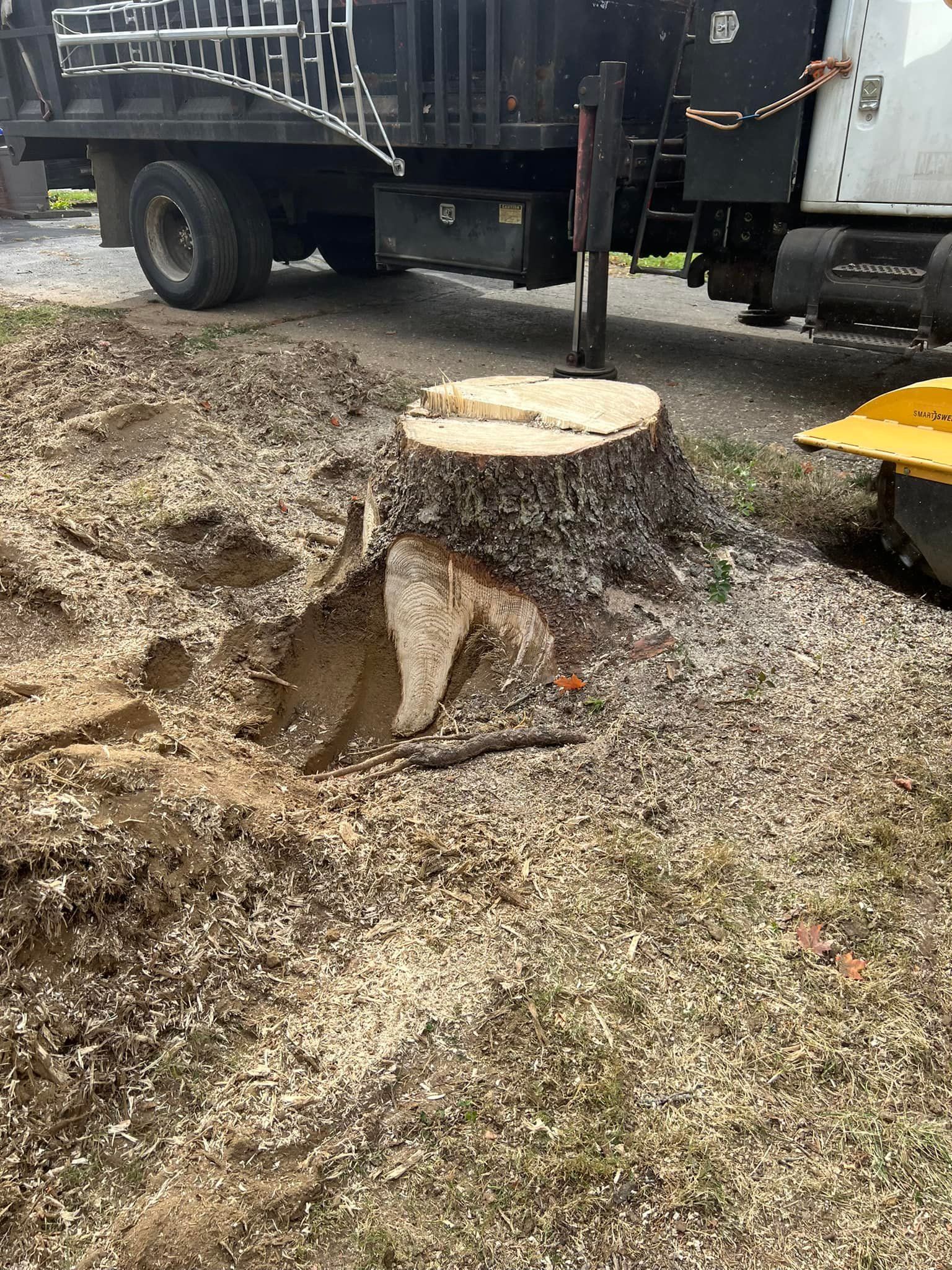 A large tree stump is being removed by a stump grinder.