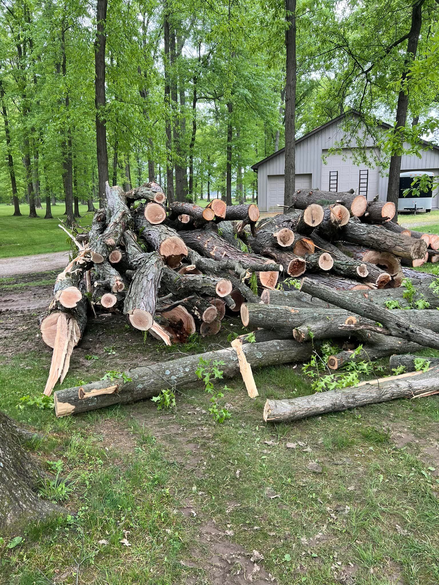 A pile of logs sitting on top of a lush green field.