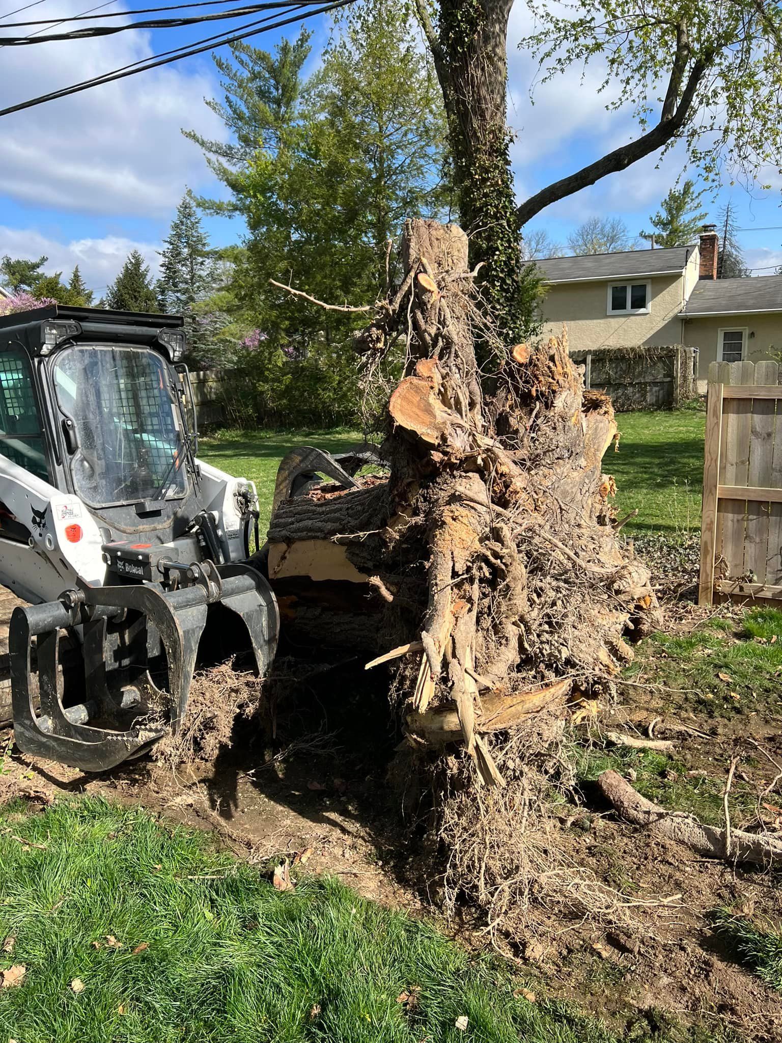 A bobcat is cutting down a tree in a yard.