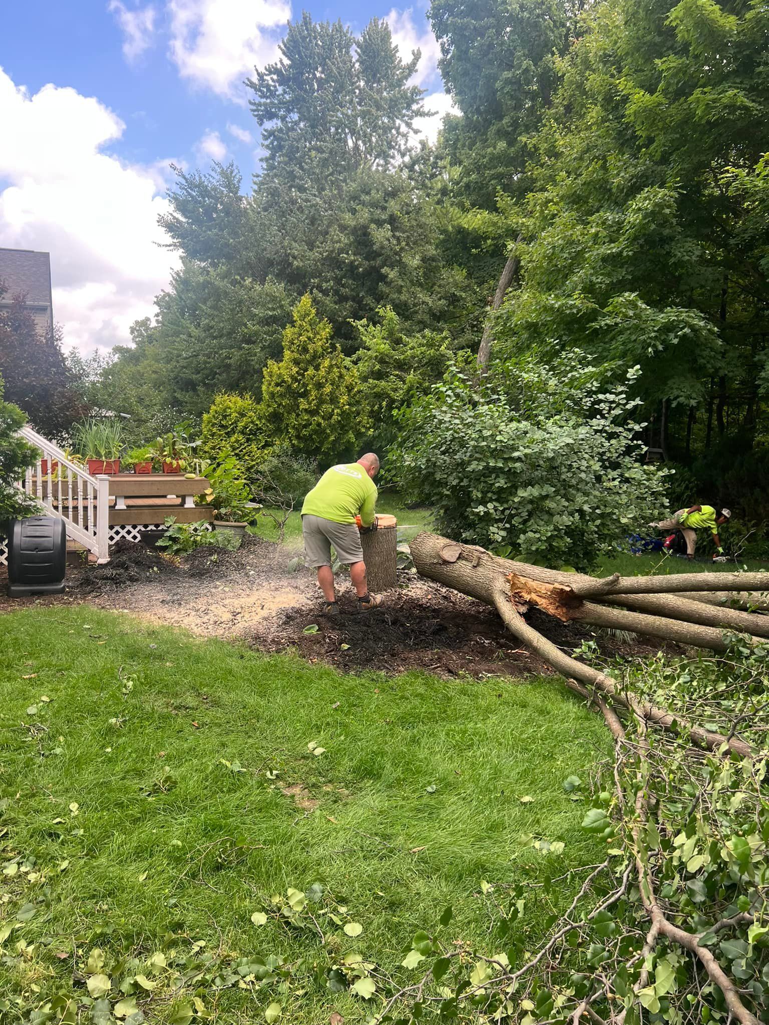 A man is standing next to a pile of logs in a yard.