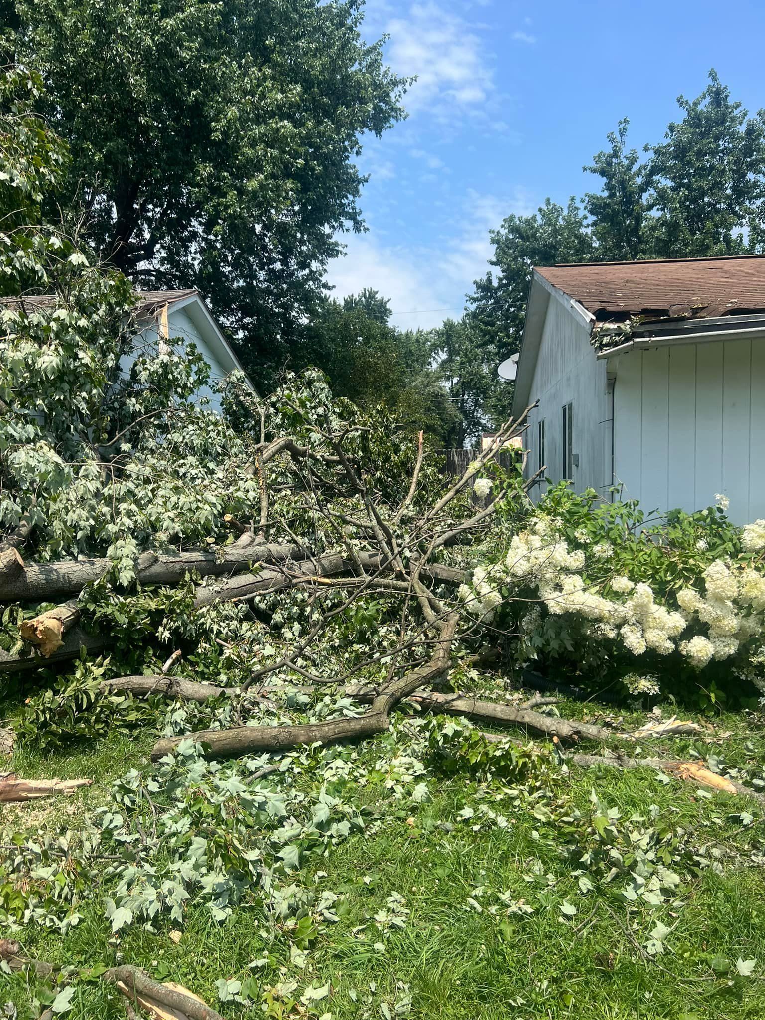 A tree that has fallen in front of a house.