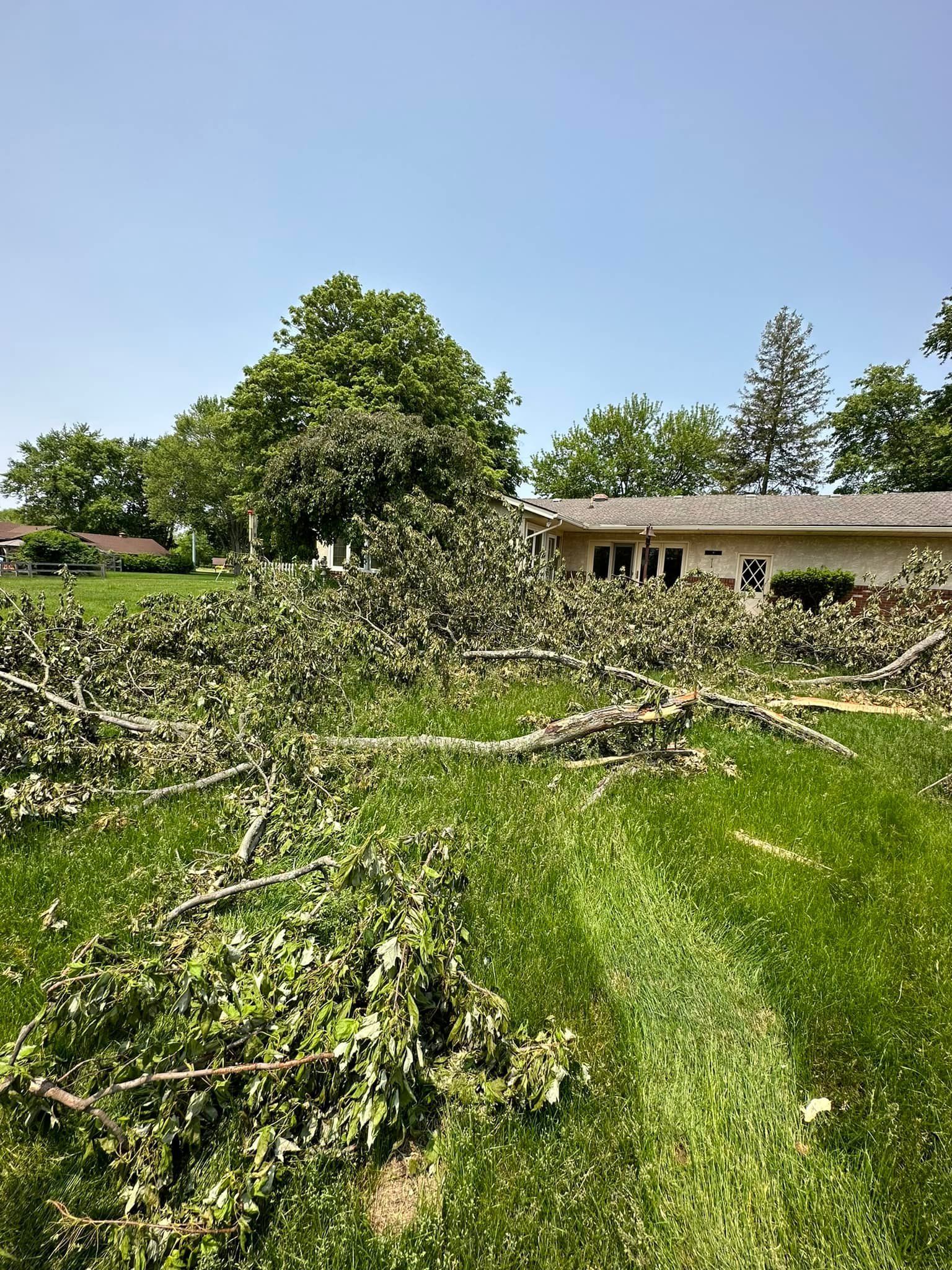 A fallen tree in a grassy field in front of a house.