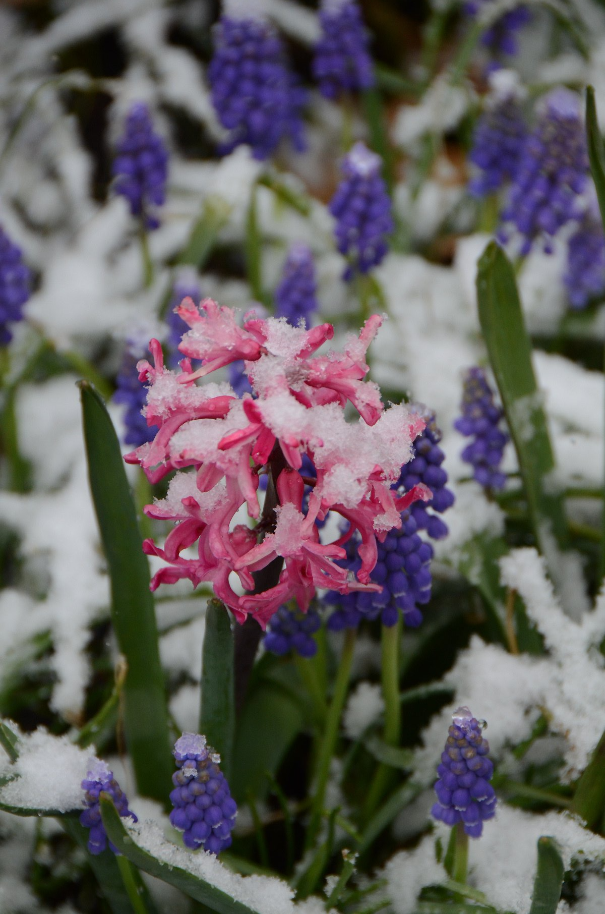 Rebuilding Together 2019 Rebuilding Day