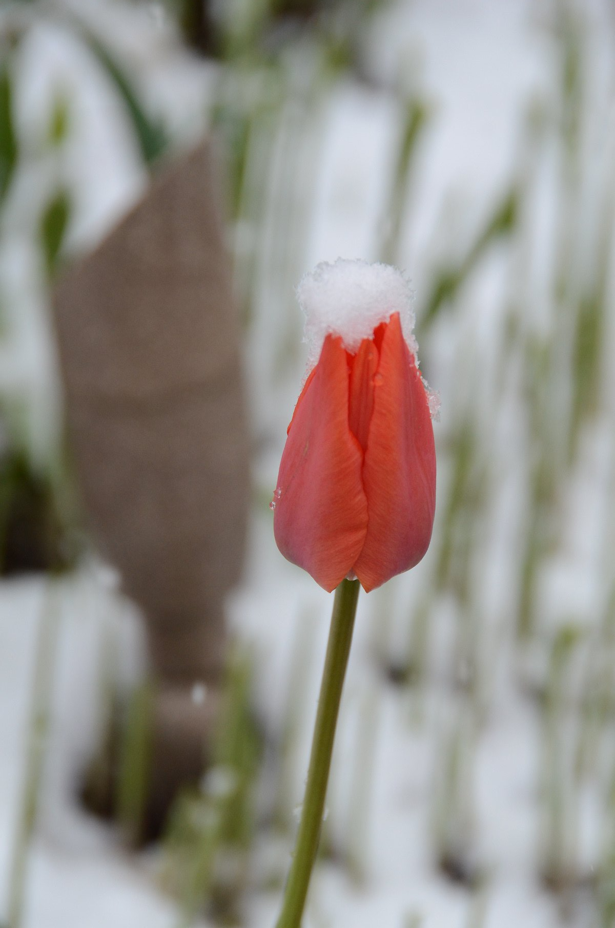 Rebuilding Together 2019 Rebuilding Day