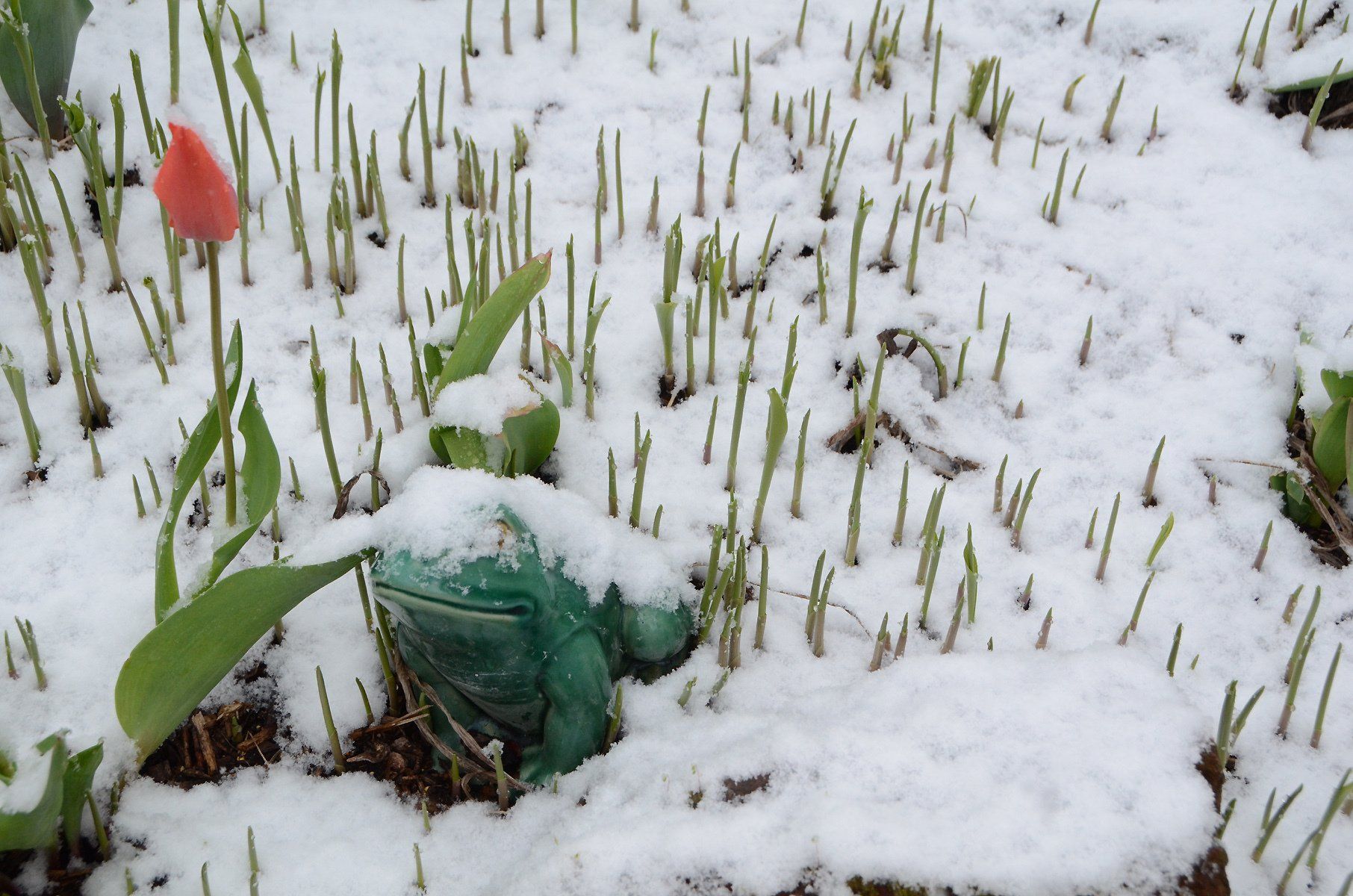 Rebuilding Together 2019 Rebuilding Day