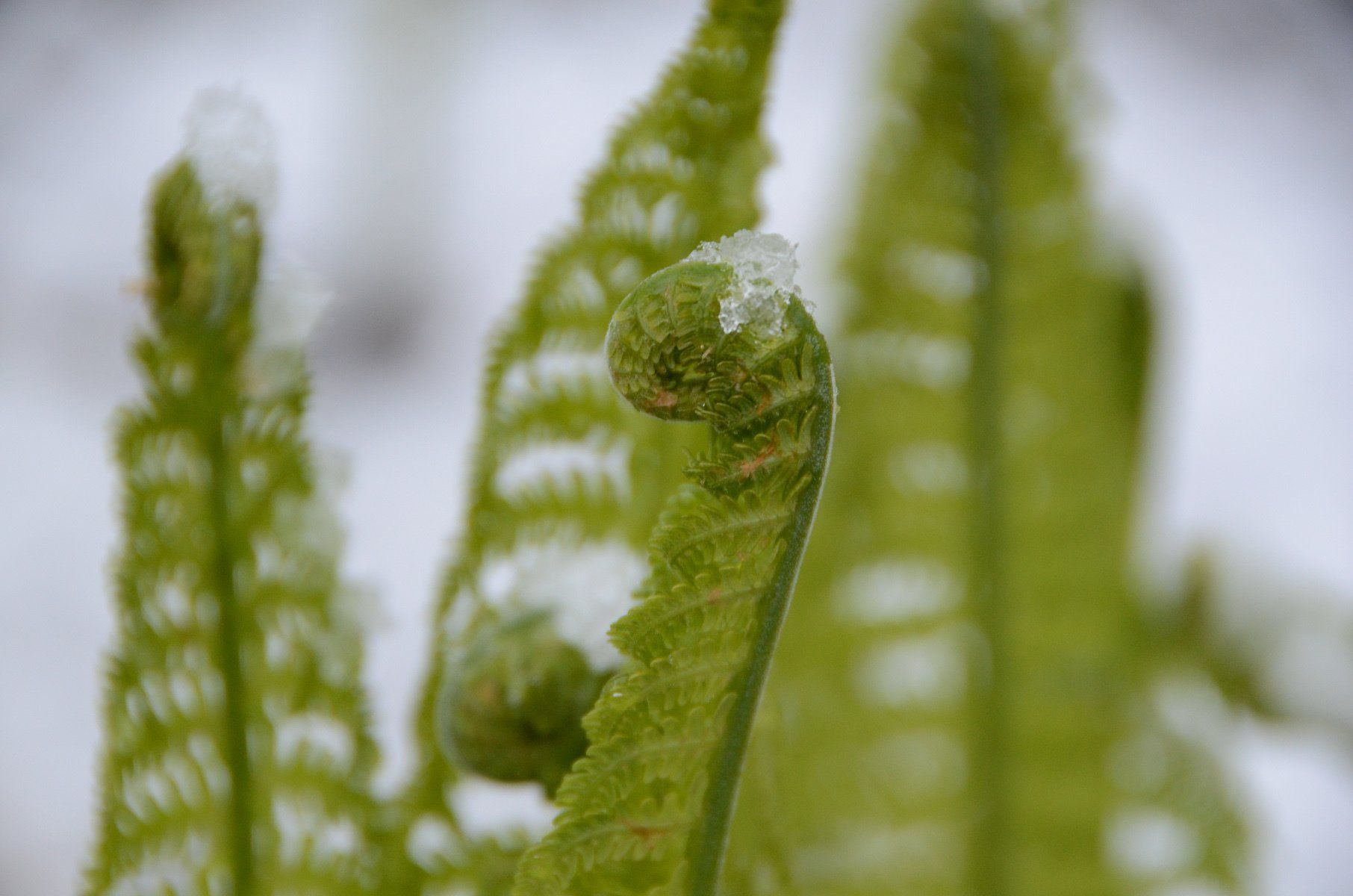 Rebuilding Together 2019 Rebuilding Day