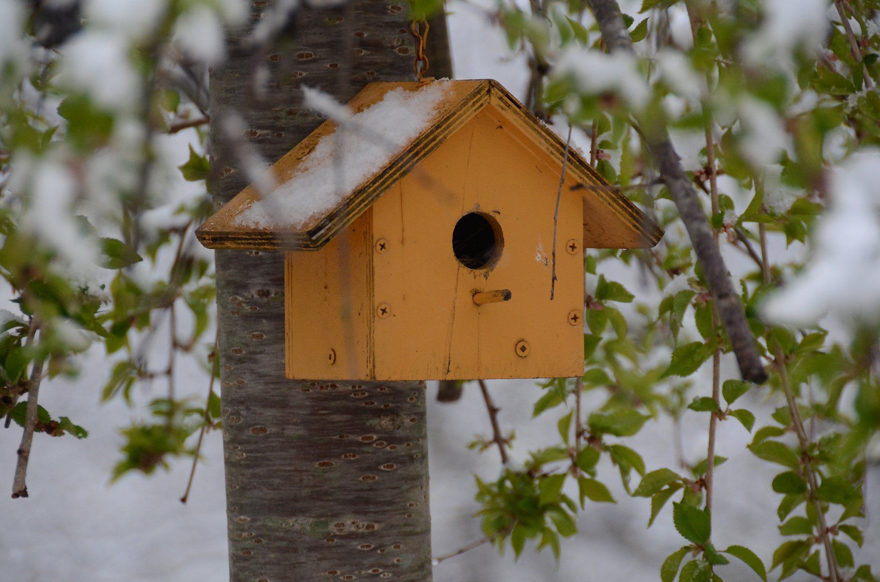 Rebuilding Together 2019 Rebuilding Day