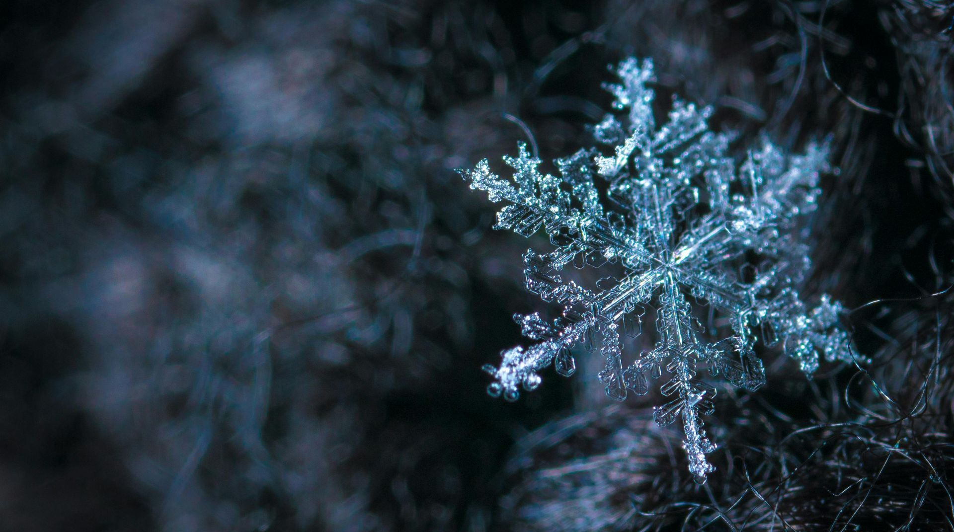 A close up of a snowflake