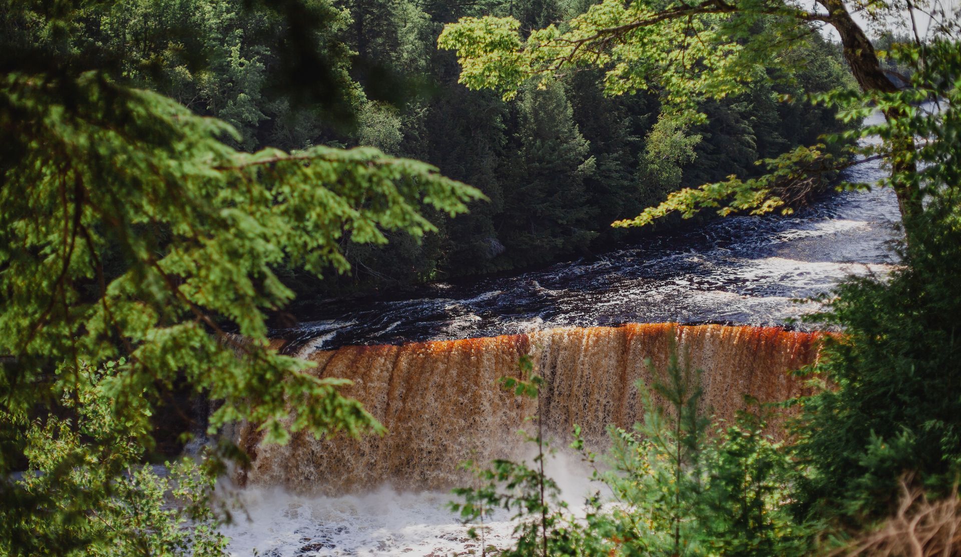 A waterfall is surrounded by trees and a river