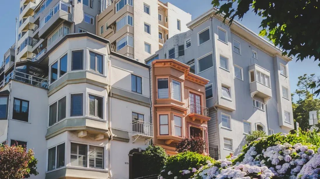 A row of apartment buildings with purple flowers in front of them.