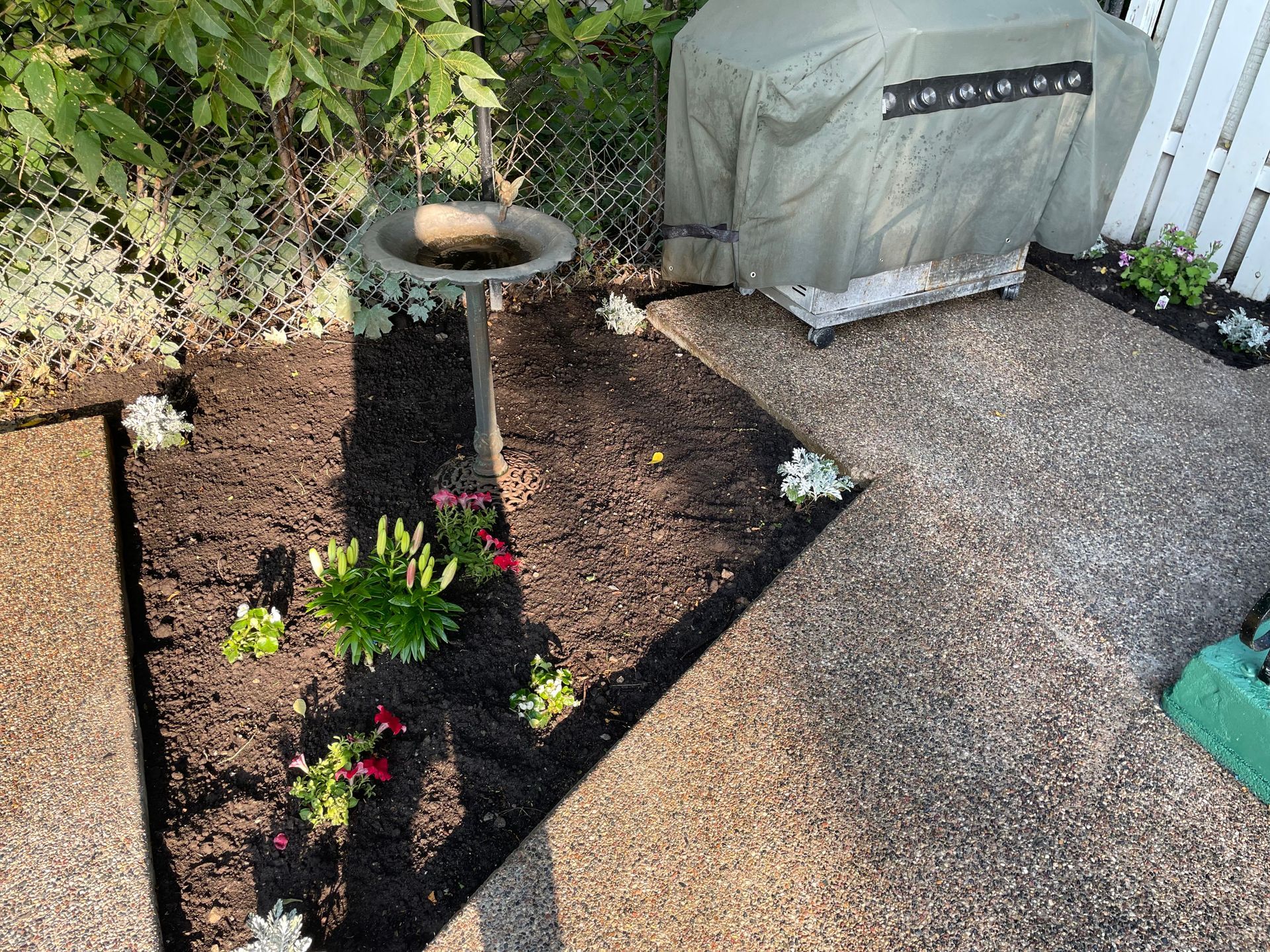 A garden bed with dark soil, plants, bird bath, and grill covered with a green cover, next to a patio.