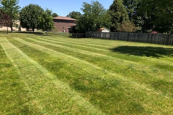 Lawn mowing services — Seven Hills, OH — True Lawn Care