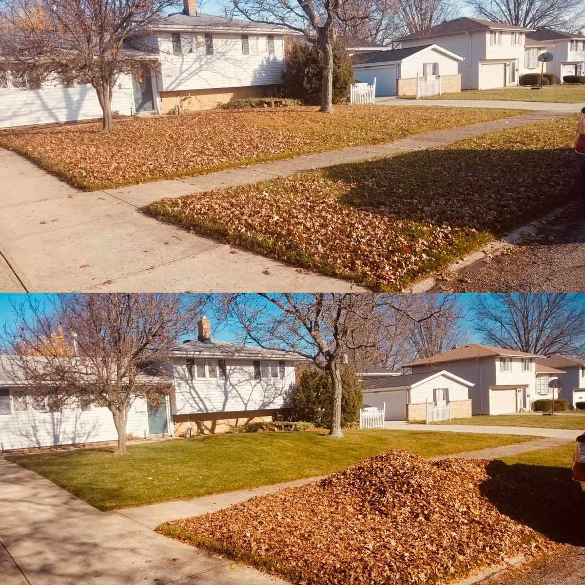Bed of leaves — Seven Hills, OH — True Lawn Care