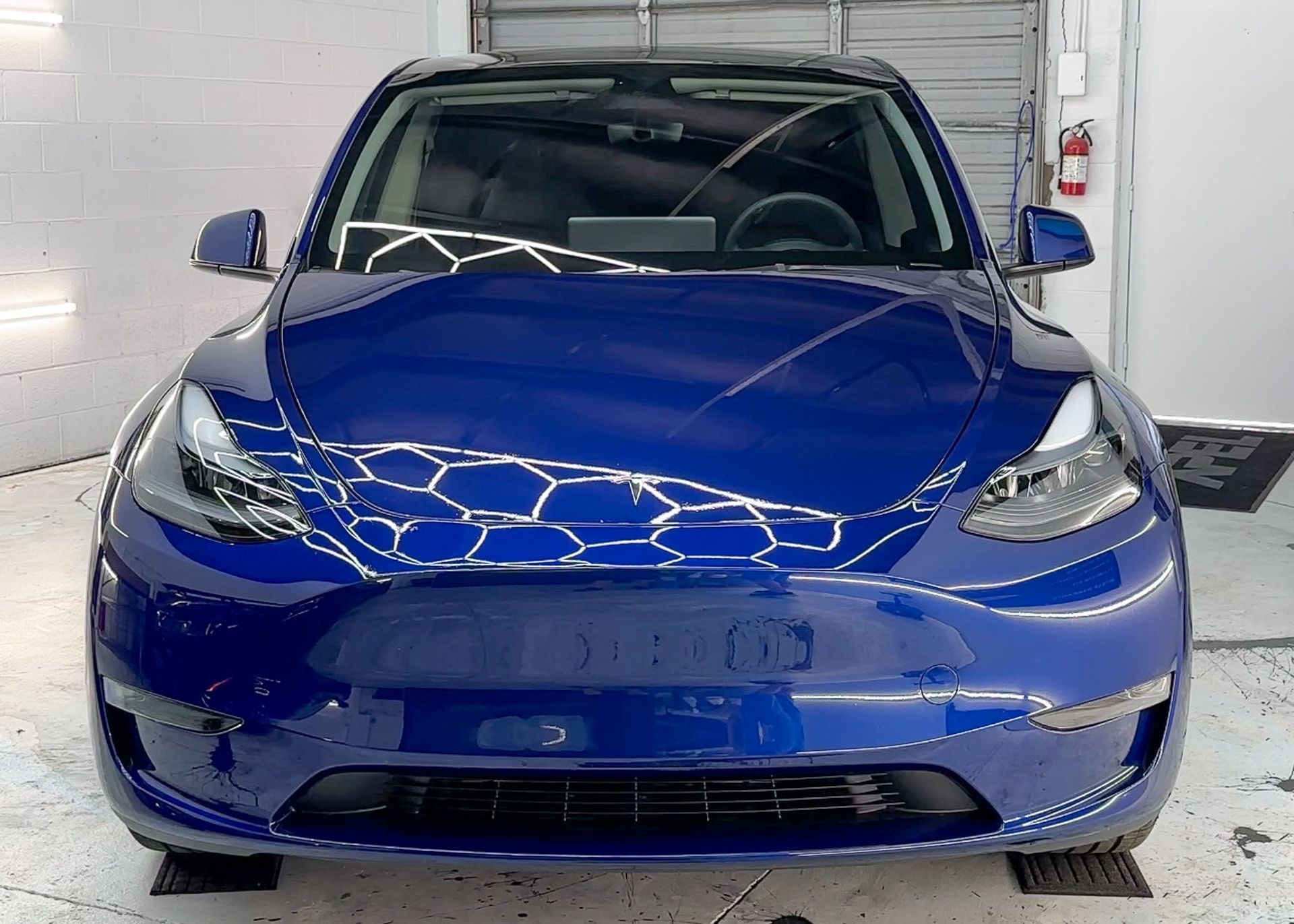 Tesla Model Y | XPel | PPF | Paint Protection Film