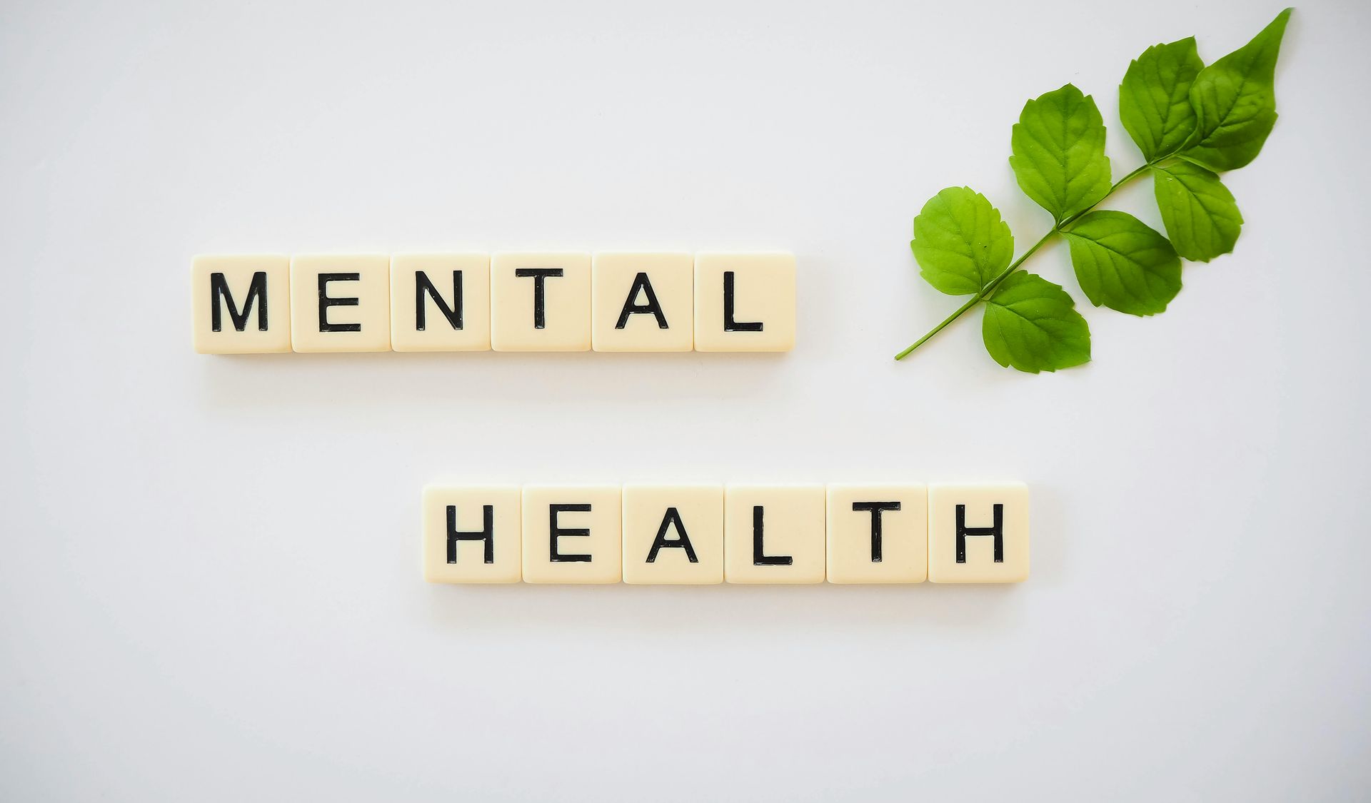 Wooden letters spelling “MENTAL HEALTH” with green leaves on a white background