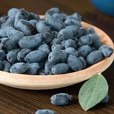 A bowl of blueberries with a green leaf on a wooden table.