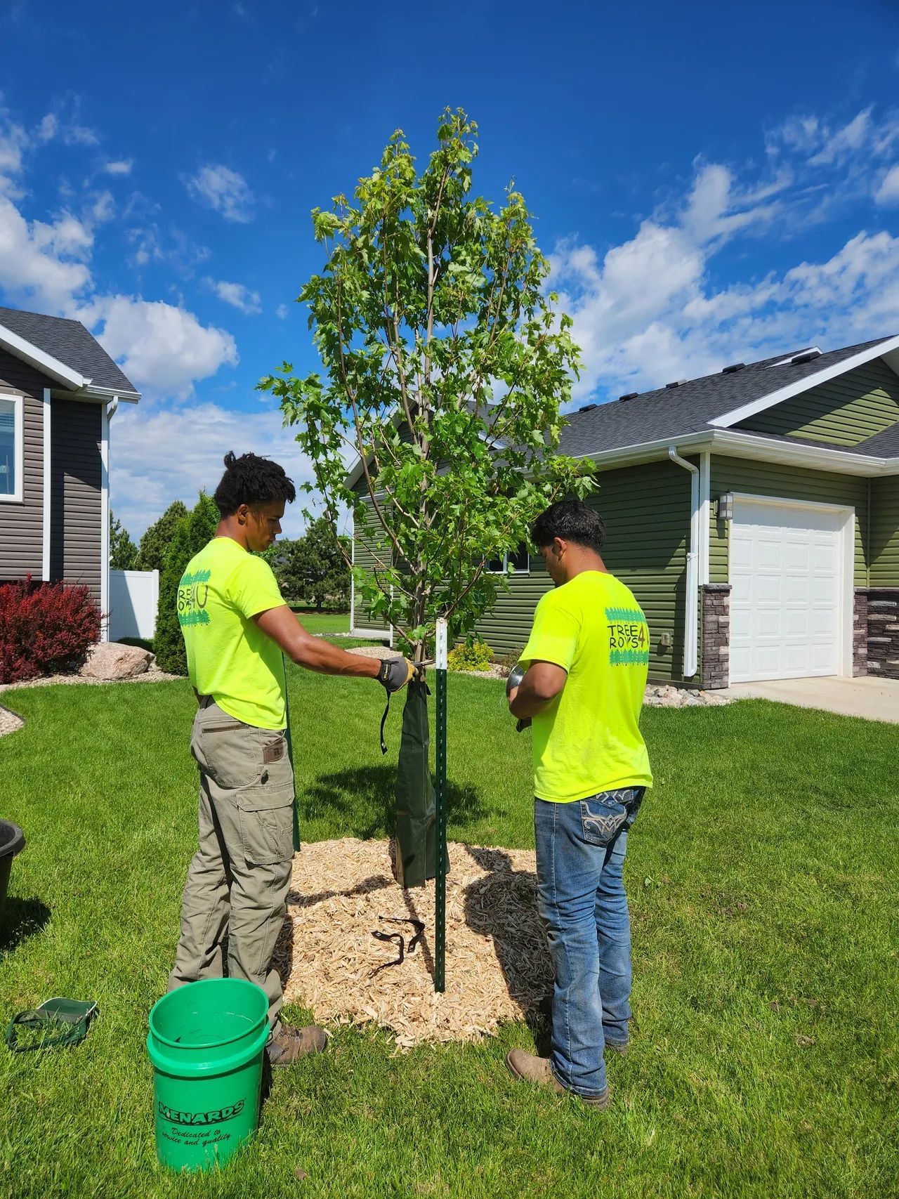 Two men are standing next to a tree in a yard.