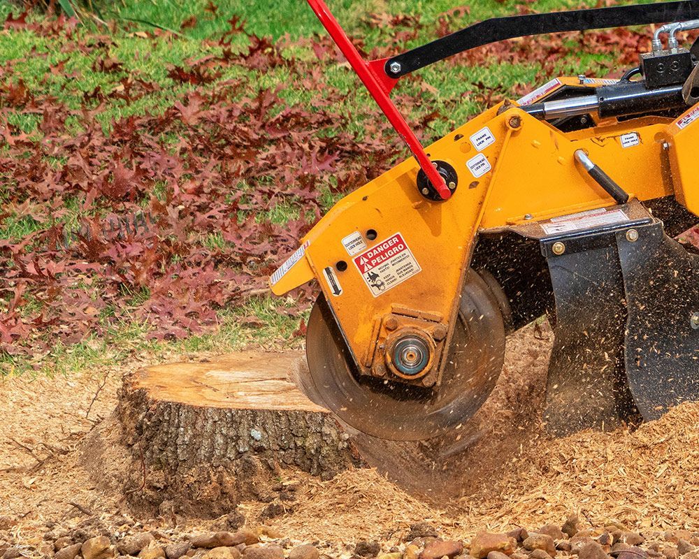 Stump Grinding a Tree Trunk — Arcadia, FL — Kinard’s Tree Service