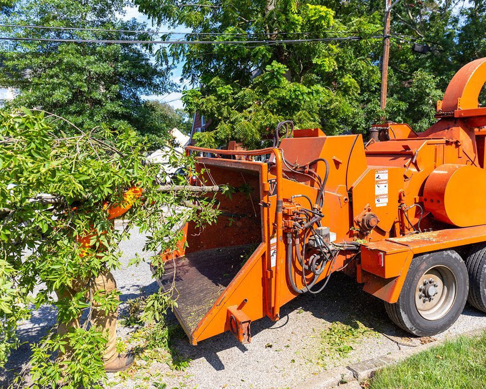 Tree Being Fed into Wood Chipper — Arcadia, FL — Kinard’s Tree Service