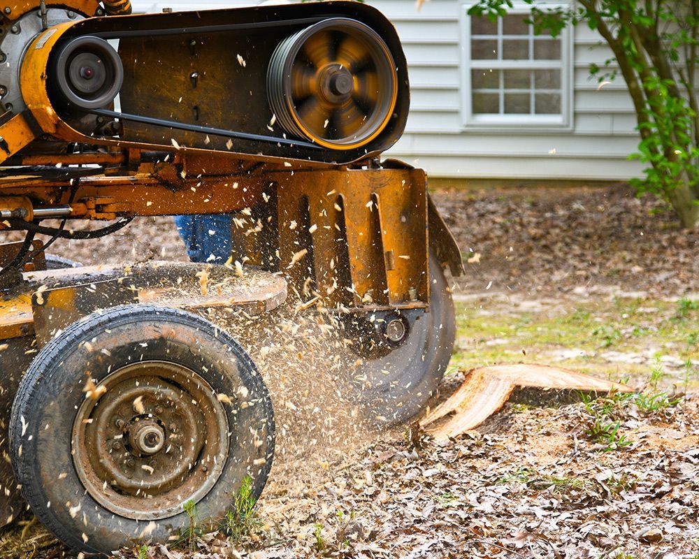 Stump Grinding — Arcadia, FL — Kinard’s Tree Service