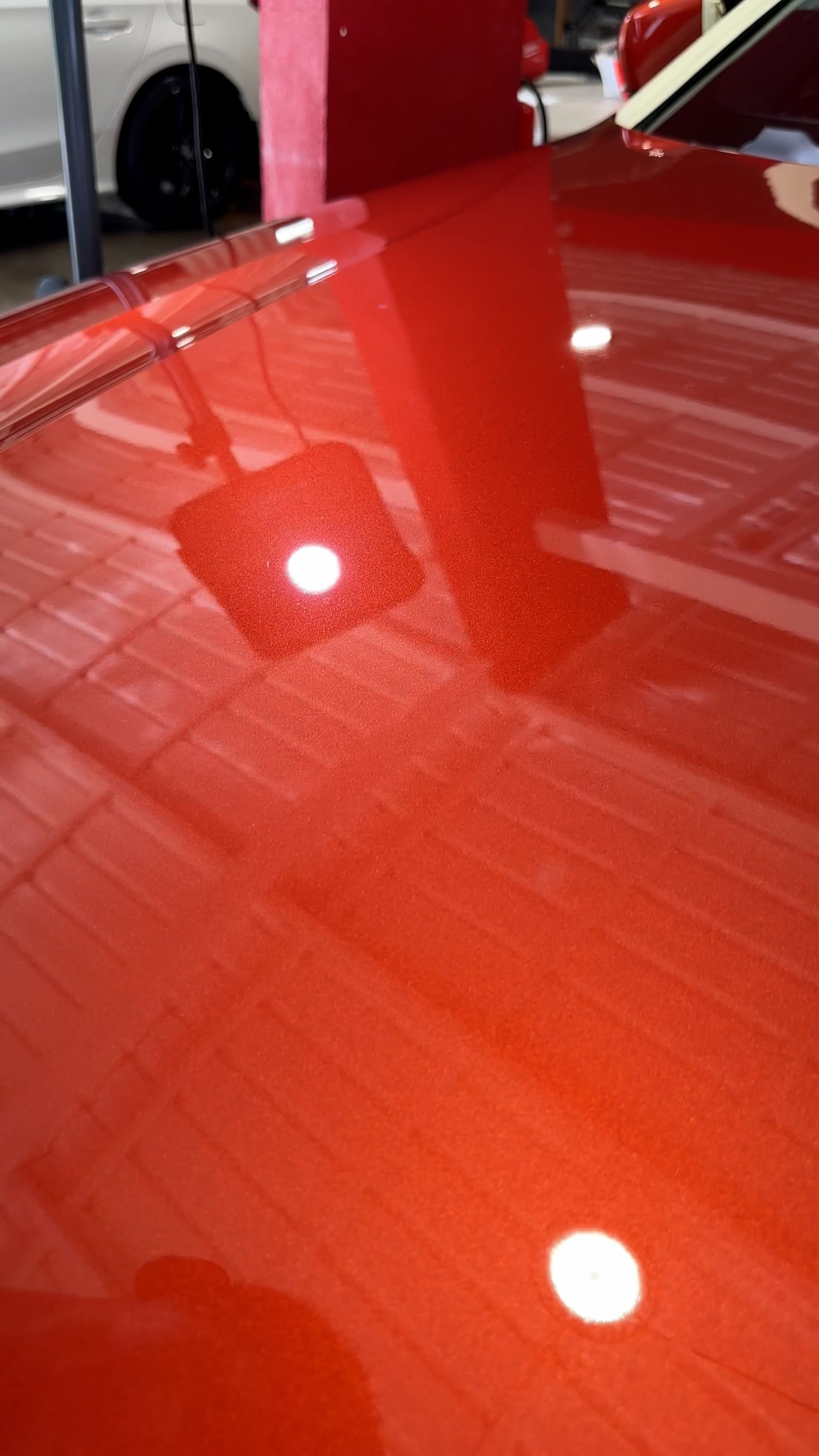 A close up of a red car 's hood in a garage.
