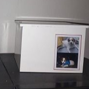 Dos casetas para perros en miniatura de color blanco con fotos de perros en el frente, sentados sobre una superficie negra.