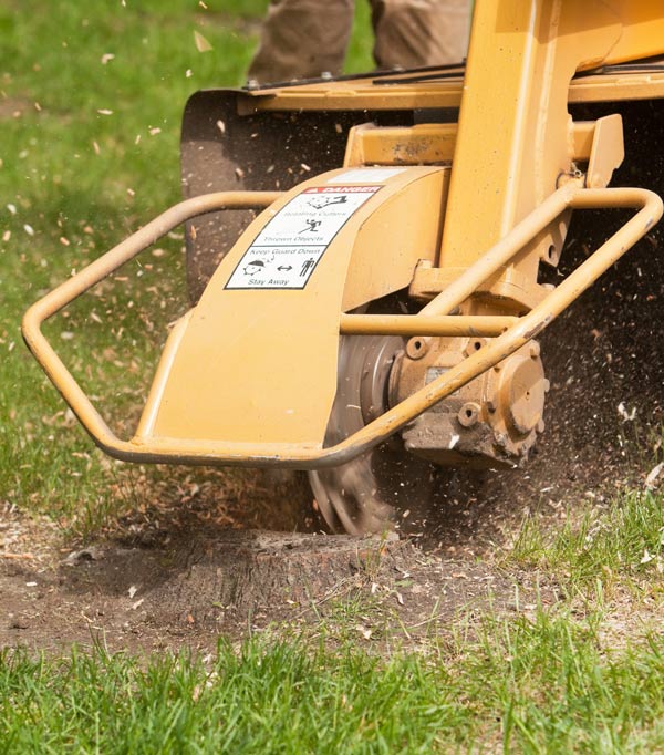 stump grinder grinding stump