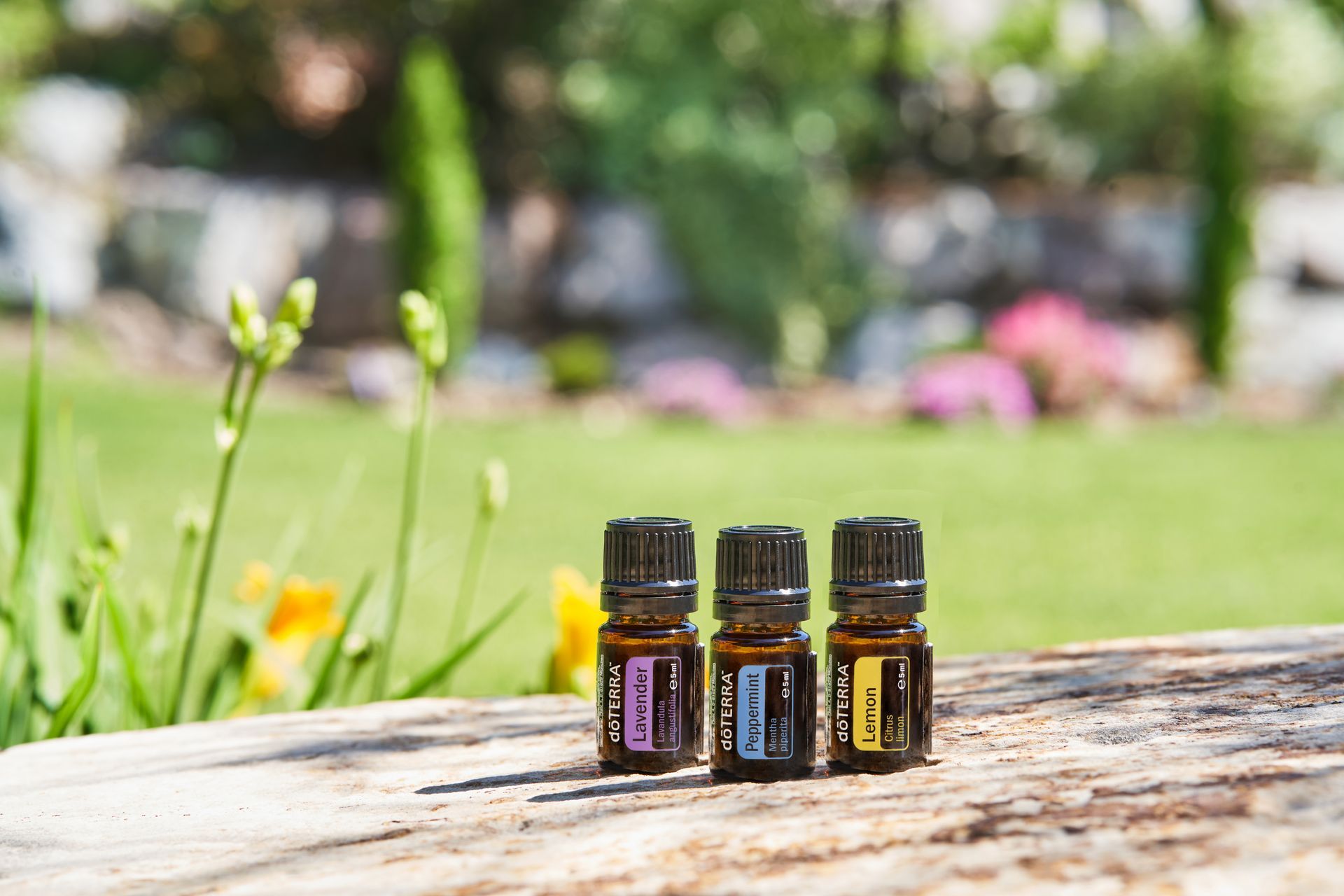 Essentiële oliën - dōTERRA