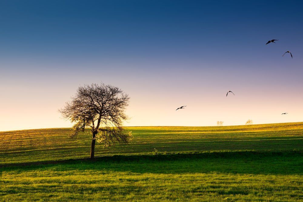 Why Choose Us Lindquist Mortuaries & Cemeteries
