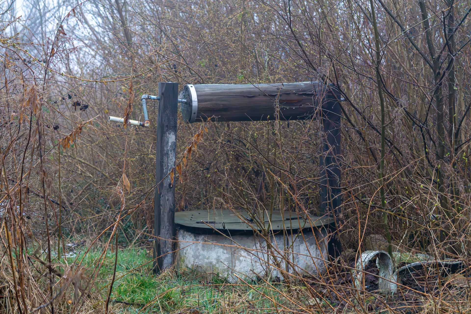 Old weathered well in overgrown foliage.