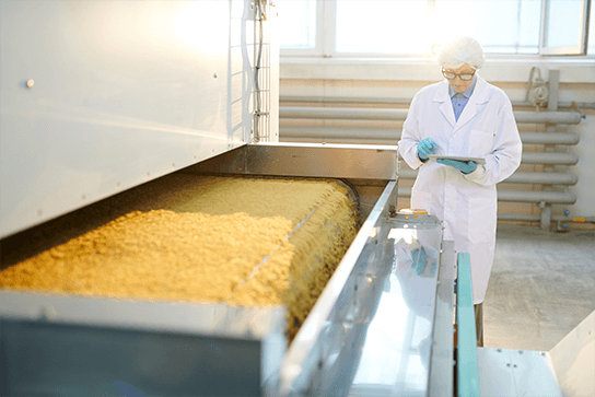 material handling in food processing