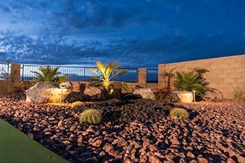 A garden with rocks and plants is lit up at night.