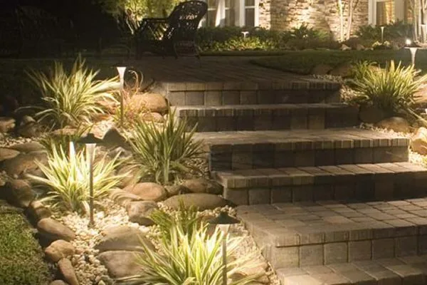 A set of stairs surrounded by plants and rocks are lit up at night.