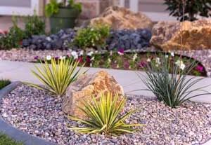A garden with rocks , plants and flowers in front of a house.
