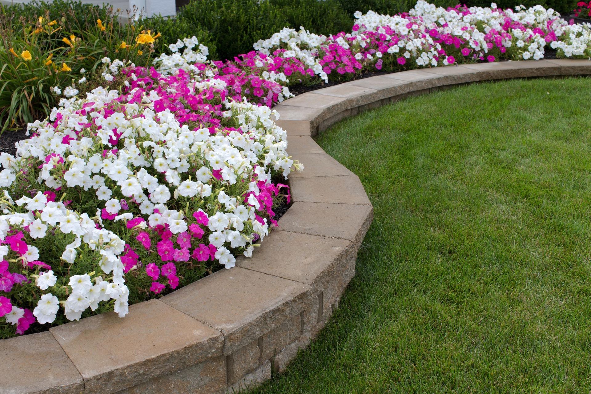 A garden with pink and white flowers and a stone wall