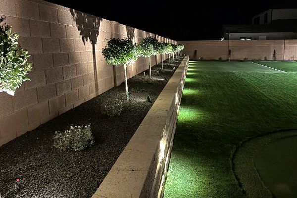 A backyard with a brick wall and trees lit up at night.