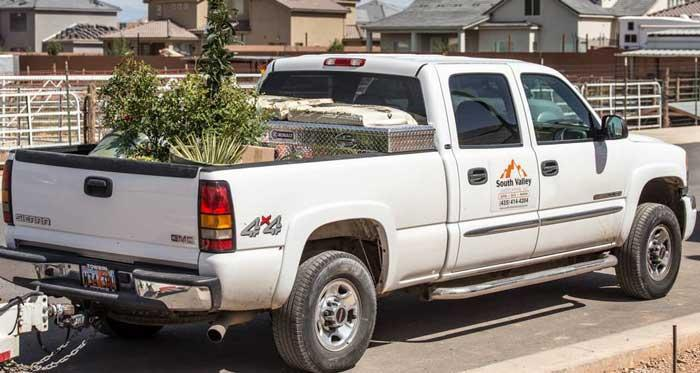 A white truck with a tree in the bed is parked on the side of the road.
