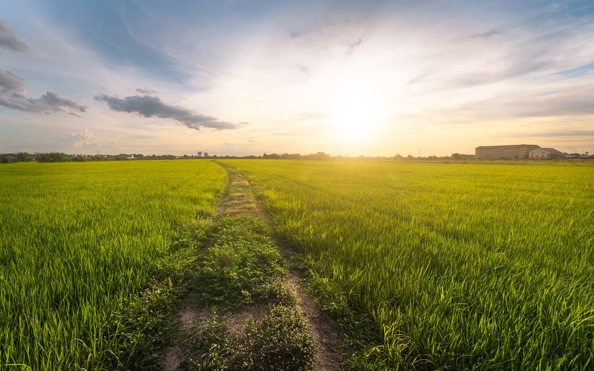 Amazing Field — Kokomo, IN — Davis & McDonald Law Firm
