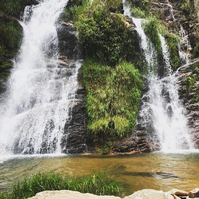 Cachoeira que despenca sobre terreno rochoso, com vegetação agarrada à rocha, e uma piscina de água cristalina logo abaixo.