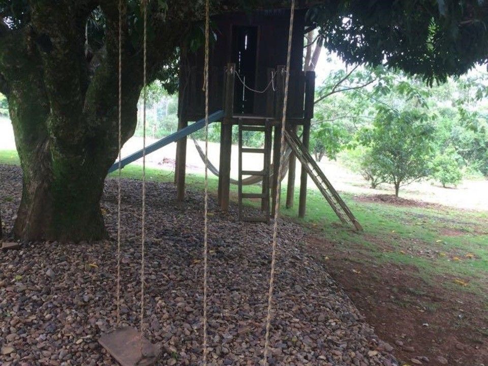 Casa na árvore com balanço de corda e escada de madeira em uma área gramada.