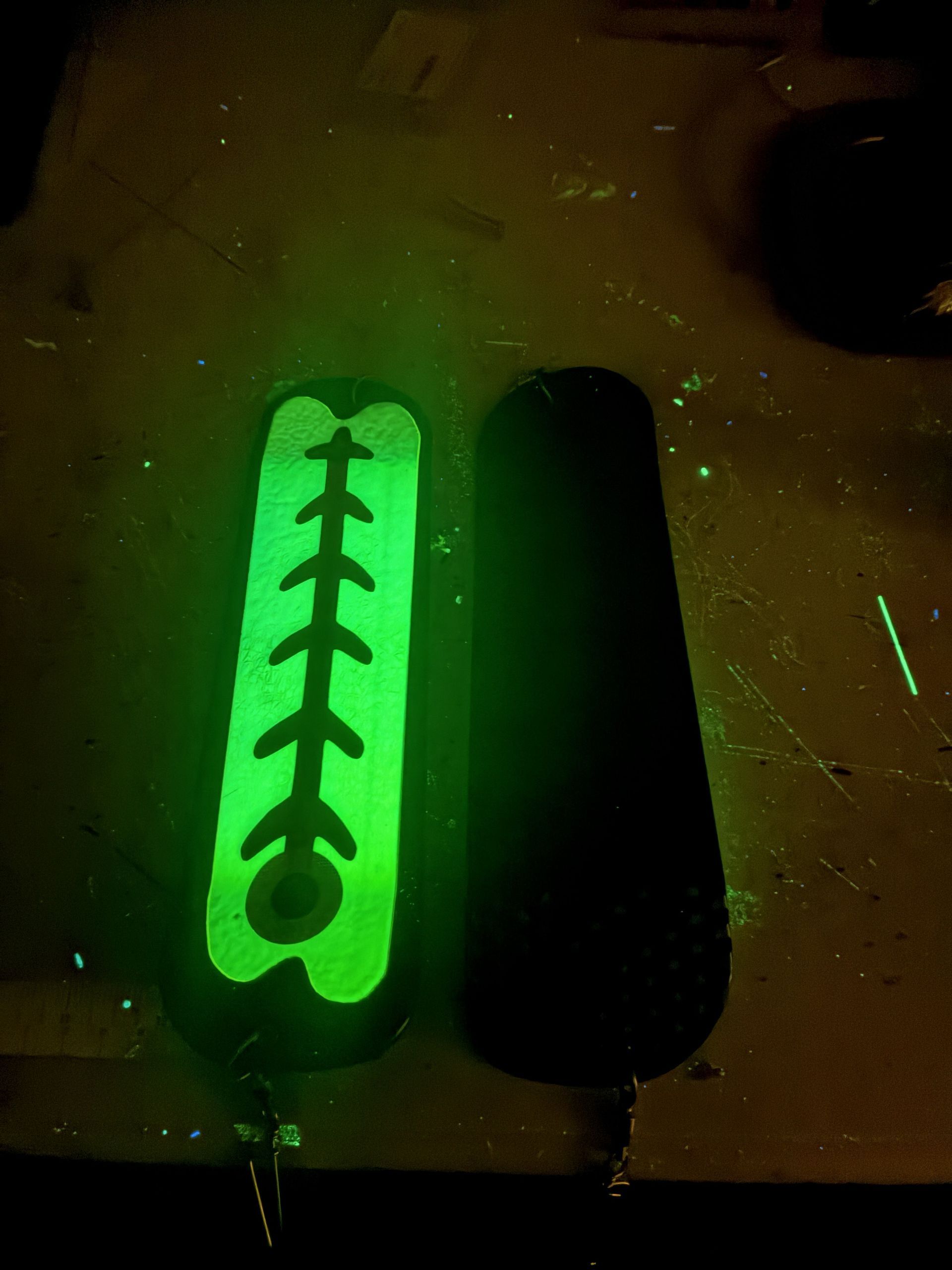 Exotic Dolphin Flasher