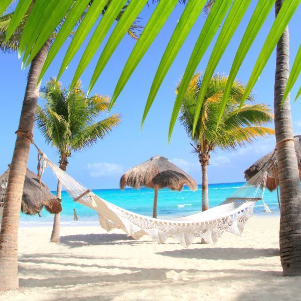 A hammock on a beach surrounded by palm trees