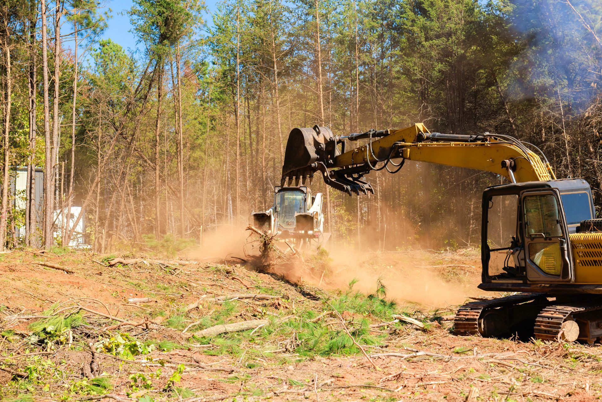 Yellow excavator and a white skid steer mulching trees in a forest clearing.
