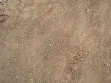 Fill Dirt